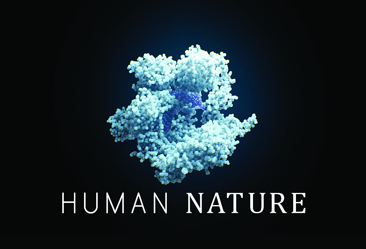 Human Nature - Human Nature America Album Wikipedia / Assessment